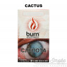 Табак Burn - Cactus (Кактус) 100 гр Табак Burn - Cactus (Кактус) 100 гр